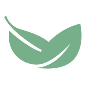 bay-leaf-digital-agency