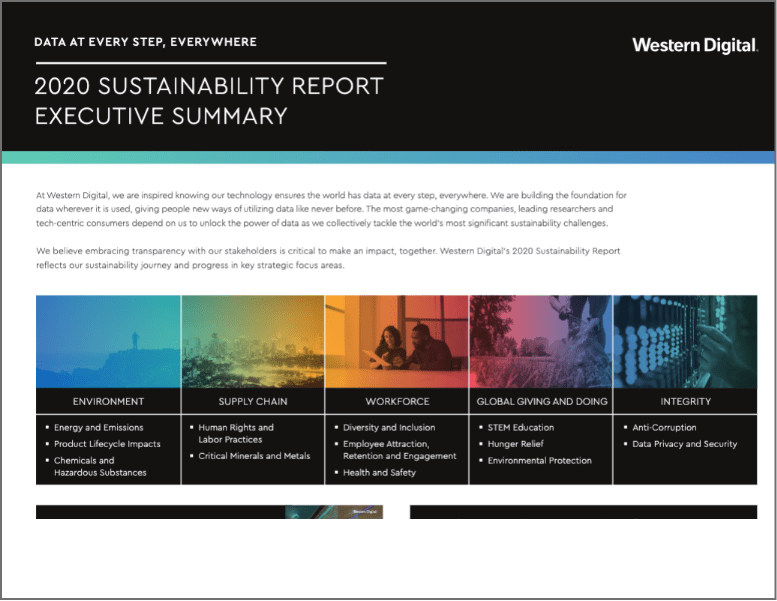 VIEW 2020 Executive Summary