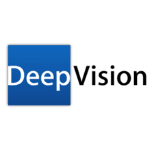 Deep Vision